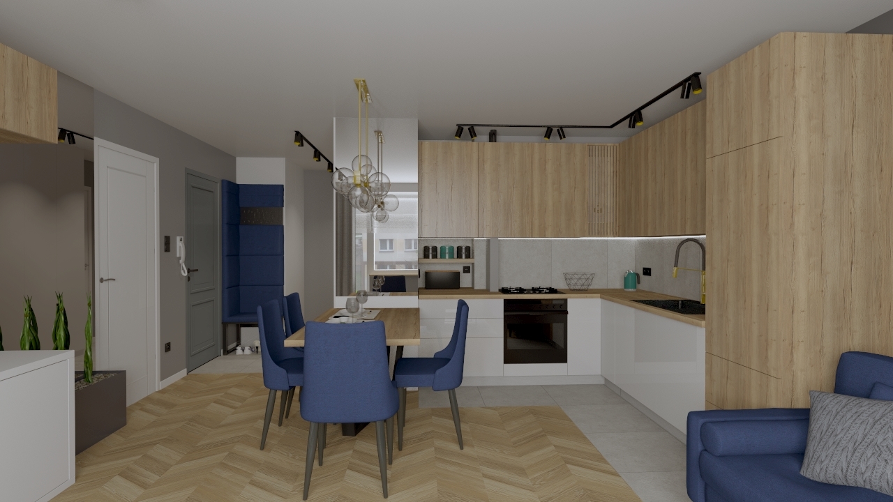 P_Ż_SALON_I_KUCHNIA_WIZ_2_1